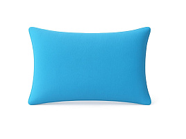 Химчистка подушки в Хамовниках