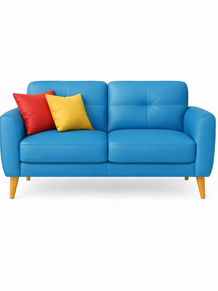 Химчистка кожаного 2-х местного дивана в Хамовниках